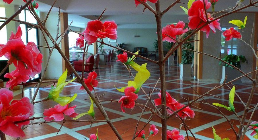 Sol Hotel&spa Hotel